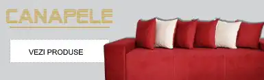 Image: banner_cat_4