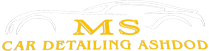 Post Logo - MS Car Detailing