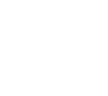 Post Logo - VSE Construct